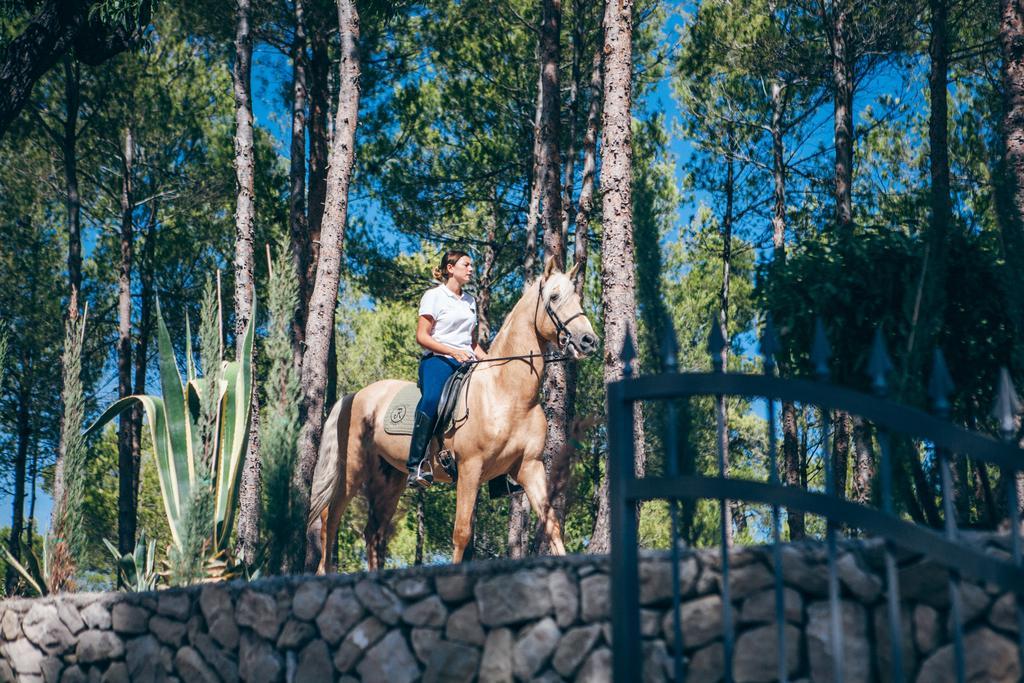 Hotel La Escondida - Singular'S Hotels Penaguila 外观 照片